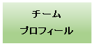 テキスト ボックス: チーム
プロフィール
